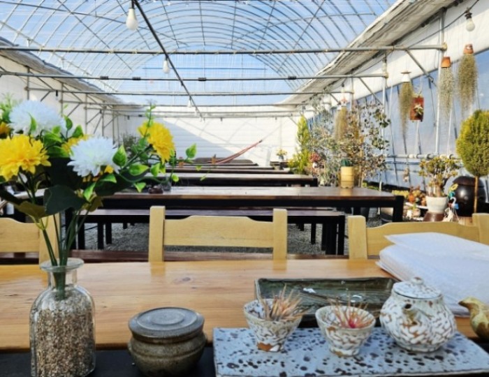 Discovering Il-Yeob-Cheong: A Unique Succulent Experience in Gochang float