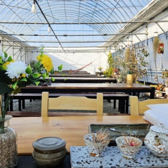 Discovering Il-Yeob-Cheong: A Unique Succulent Experience in Gochang_01