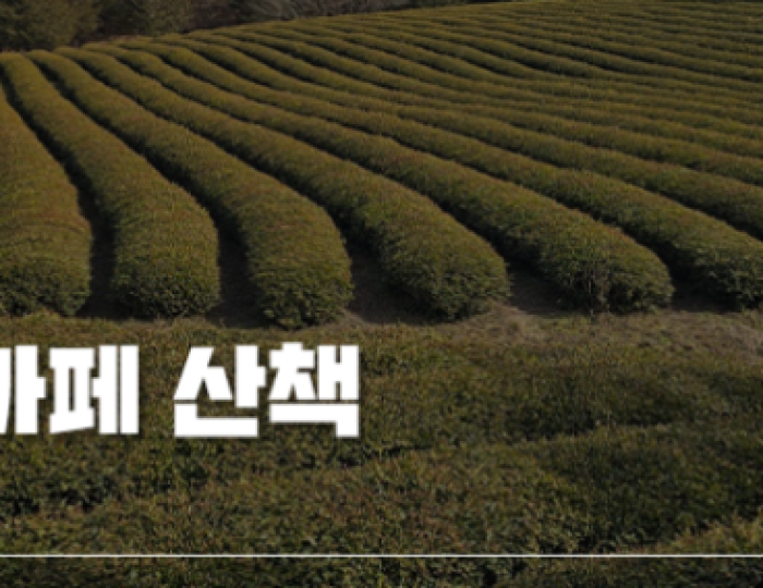 Yenda Won: A New Healing Landmark in Gochang float