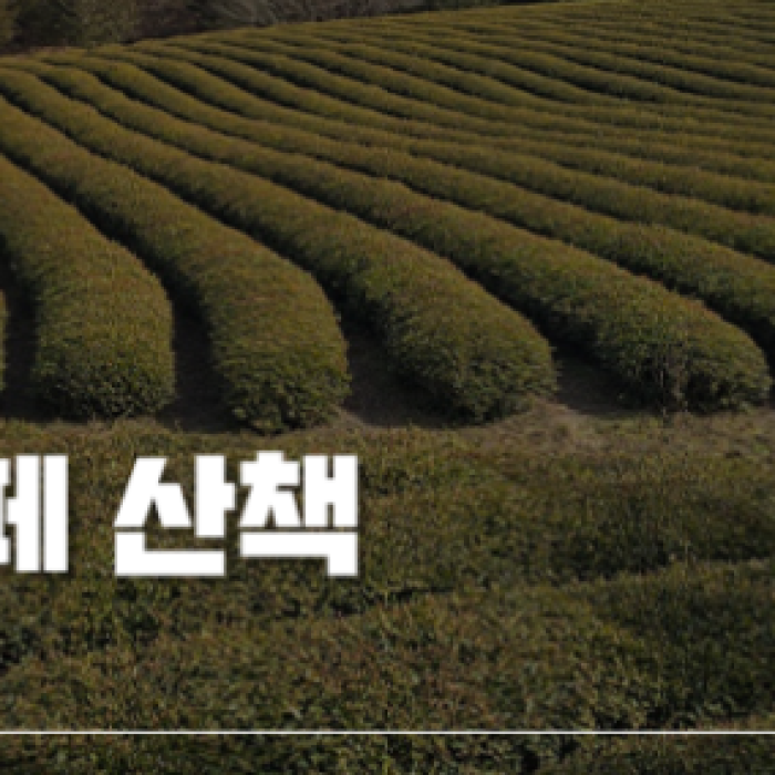 Yenda Won: A New Healing Landmark in Gochang1324