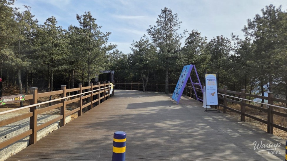 Exploring the Barrier-Free Sharing Trail at Gamaksan_01