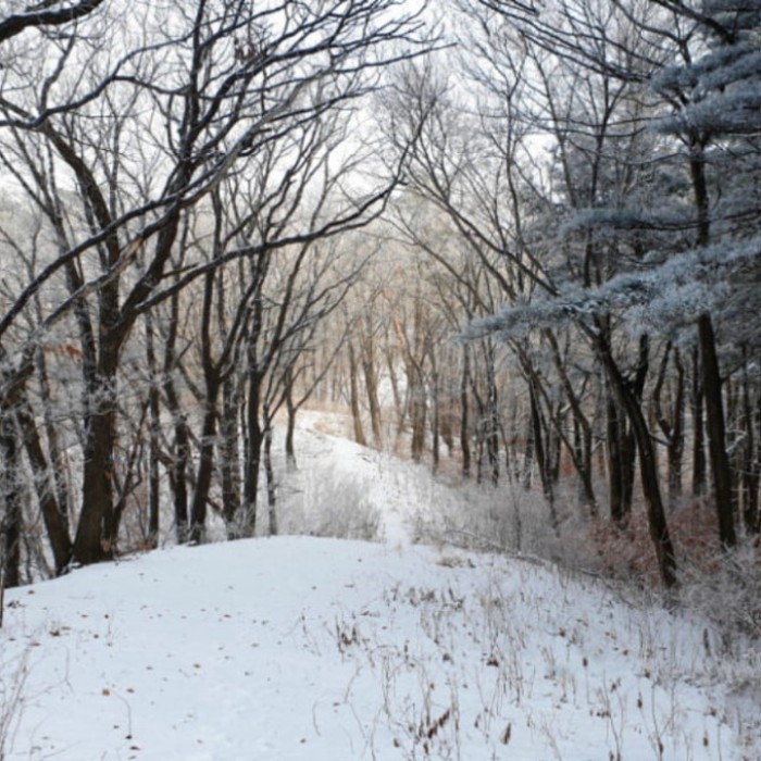 Exploring the Beauty of Yeoninsan Mountain in Winter2407