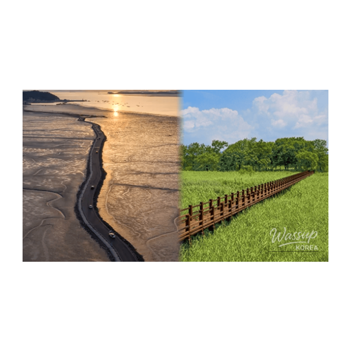 Exploring Hwaseong in February: Top 4 Must-Visit Spots2398