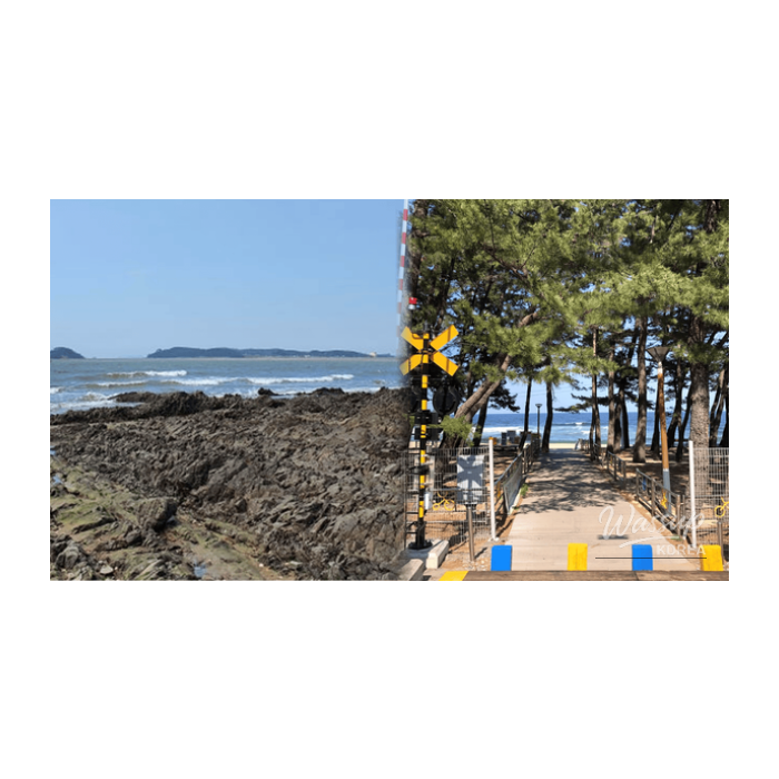 Best Domestic Beach Destinations to Visit in February2394