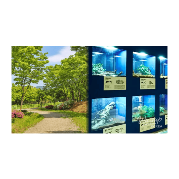 Charming Winter Destinations in Hanam for February Getaways2409