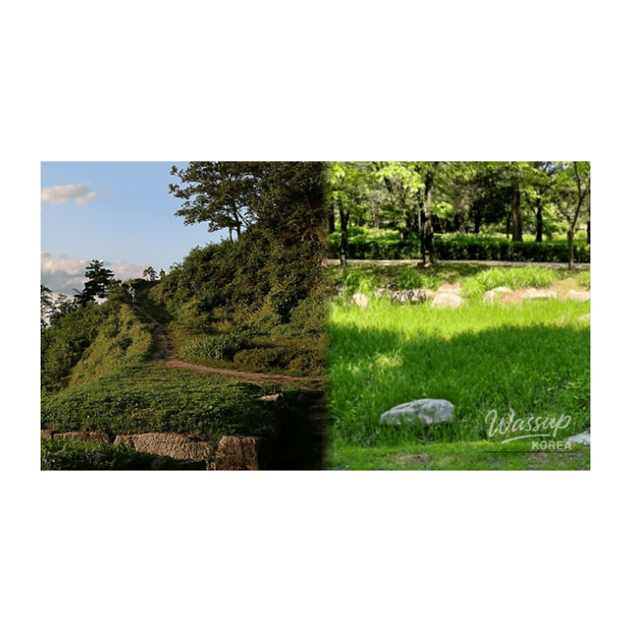 Discovering the Hidden Gems of Osan in February2416