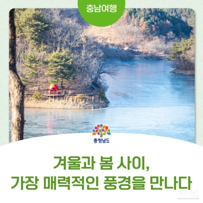 A Thrilling Journey to Cheongyang's Cheonjangho Suspension Bridge2392