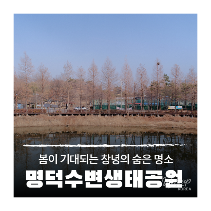 A Stroll Through Myungdeok Ecological Park1328