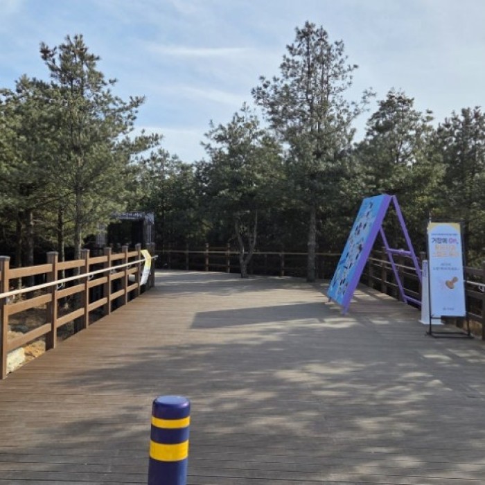 Exploring the Barrier-Free Sharing Trail at Gamaksan2418