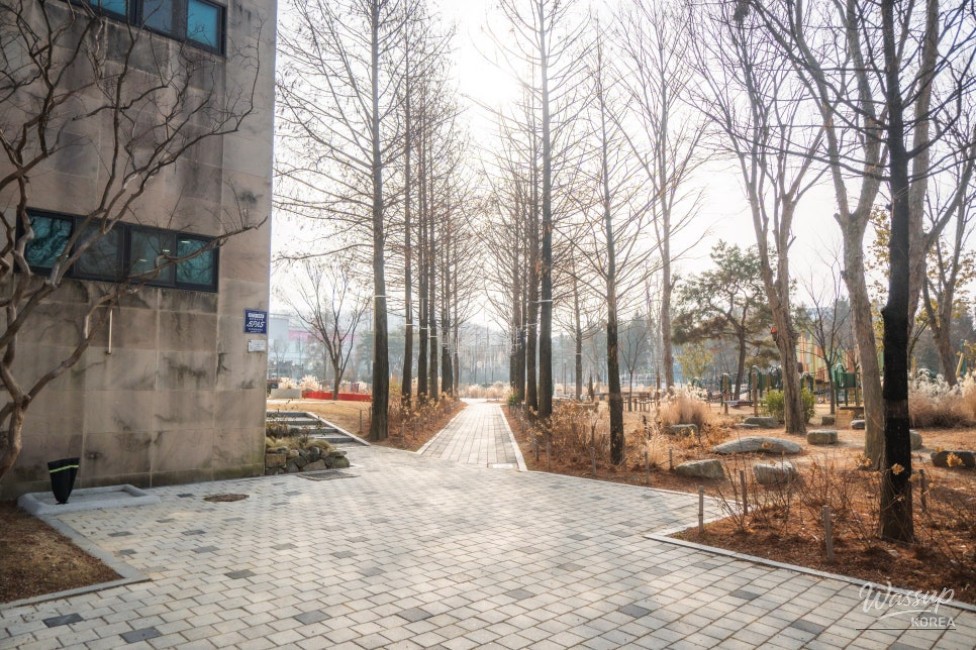 Experience Spring Early at Jeonju Garden Culture Center's Subtropical Botanical Garden_04