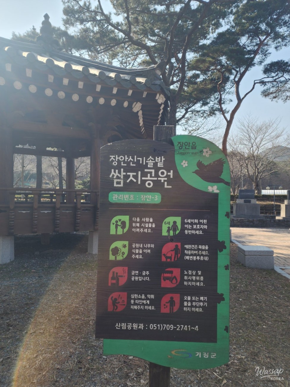 A Visit to the Jangansingi Pine Forest Park in Gijang-gun_04