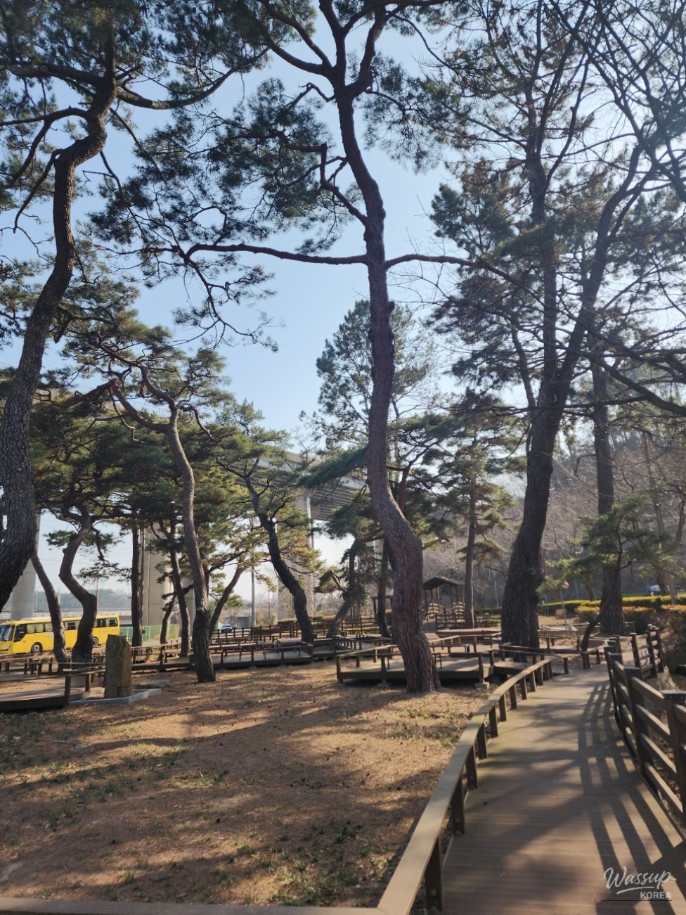 A Visit to the Jangansingi Pine Forest Park in Gijang-gun_05