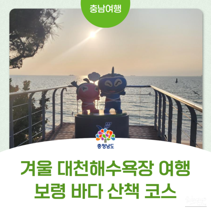 Winter Trip to Daecheon Beach: A Quiet Stroll Along the Boryeong Sea2433