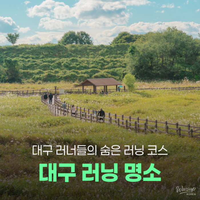 Discovering Daegu's Hidden Running Gems1333