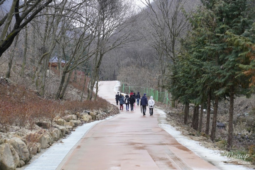 Exploring the Ecological Park at the Source of the Mangyeong River_10