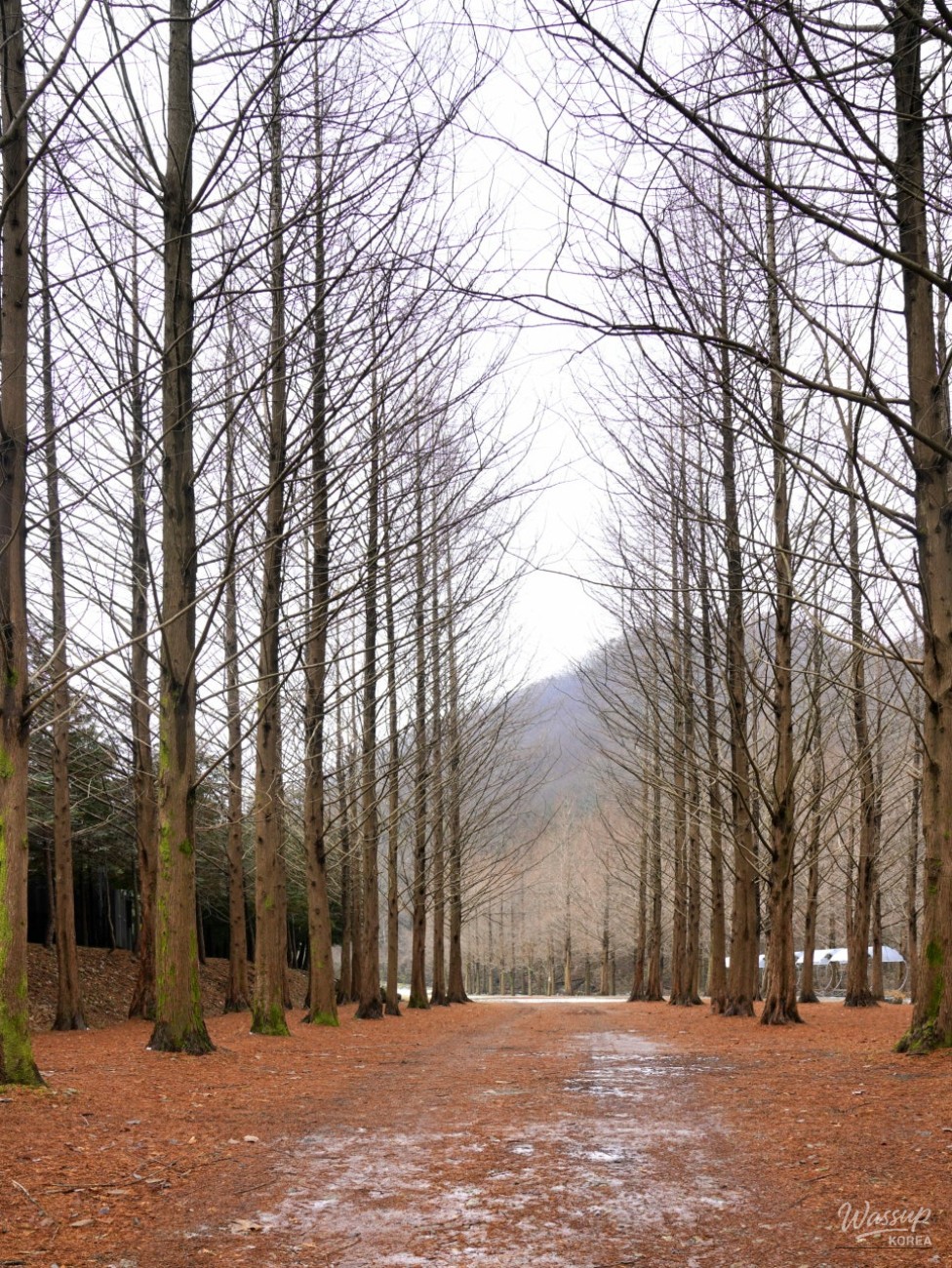 Exploring the Ecological Park at the Source of the Mangyeong River_08