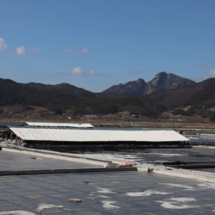 Exploring the Beauty of Gomsok Salt Fields in February2453