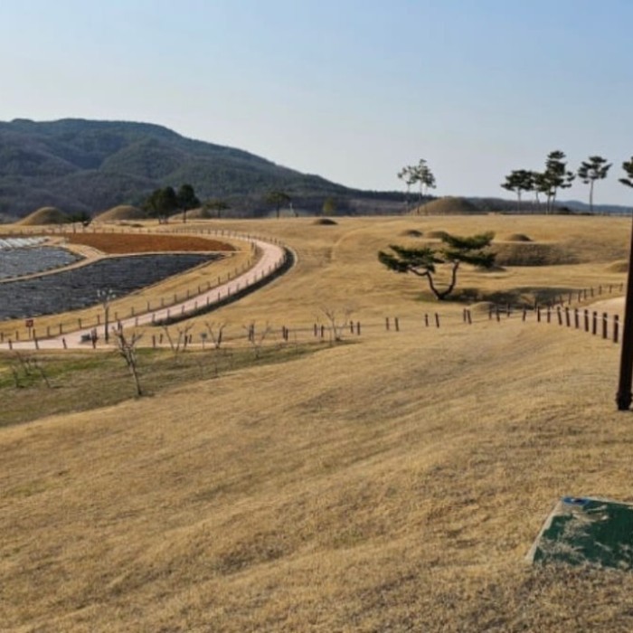 Healing in the Serene Landscape of Uiseong Jomun-guk Historic Site2474