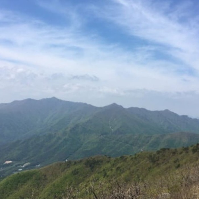 A Unique Forest Experience in Ulsan2472