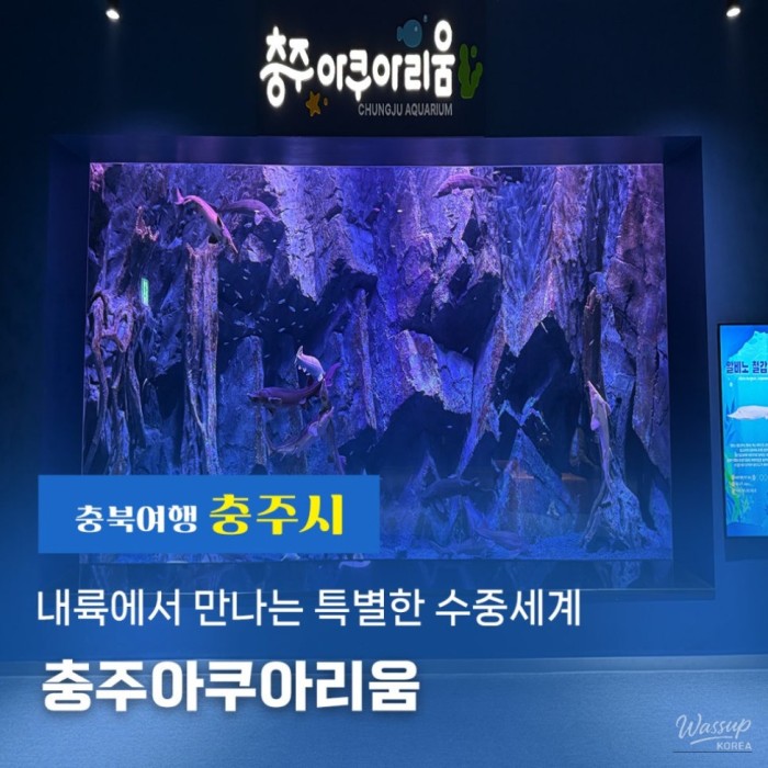 Exploring the Charm of Chungju: A Visit to the Chungju Aquarium2456