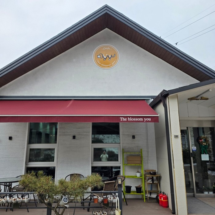 Discovering Cafe W: A Nature-Inspired Retreat2458