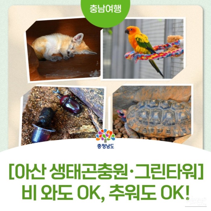 Exploring Asan Ecological Insect Museum2471