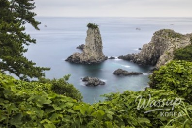 Spring in Seogwipo: Must-Visit Attractions_05