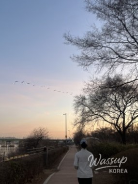 A Special Morning Run_06