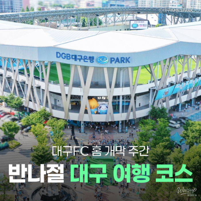 Exciting Half-Day Guide for K-League Fans in Daegu1345