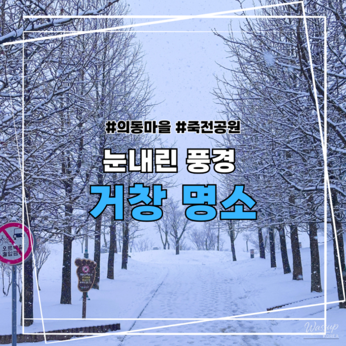A Winter Wonderland in Geochang2482