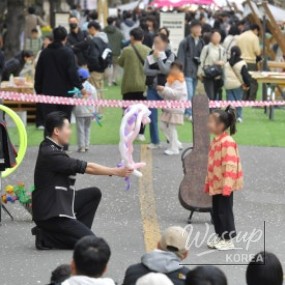 Gyeongju Cherry Blossom Festival: Daereungwon Stone Wall Path_11