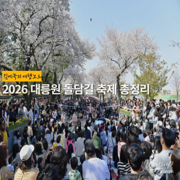 Gyeongju Cherry Blossom Festival: Daereungwon Stone Wall Path_01
