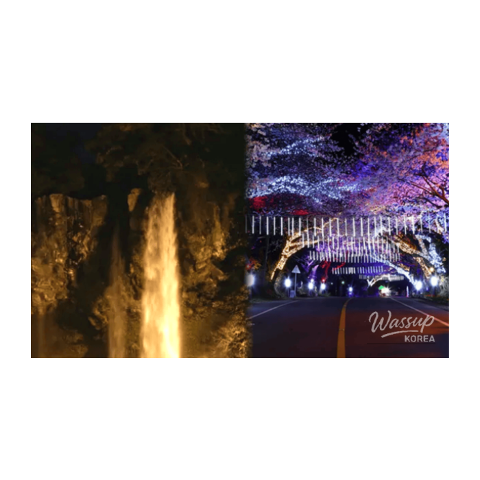 Discovering the Nighttime Beauty of Jeju in February2489