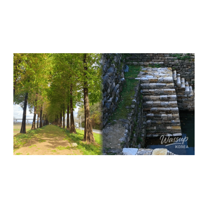 Exploring Gongju: Top 4 Places to Visit in February2502