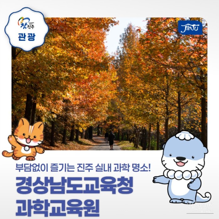 Indoor Science Playground in Jinju: A Perfect Spot for Kids2491