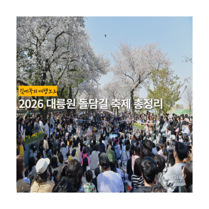 Gyeongju Cherry Blossom Festival: Daereungwon Stone Wall Path315