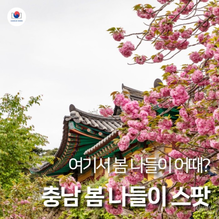 Spring Getaways in Chungnam2493