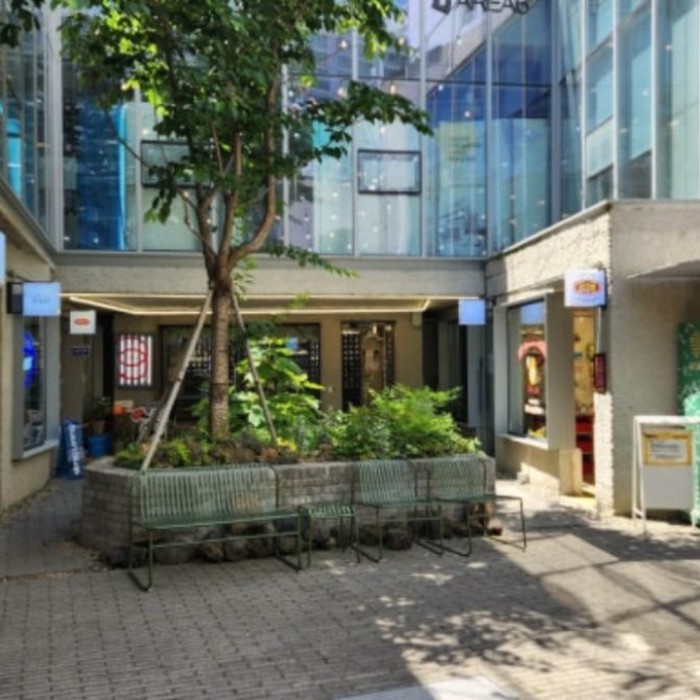 Discovering Area Six: A Hidden Gem in Busan2517