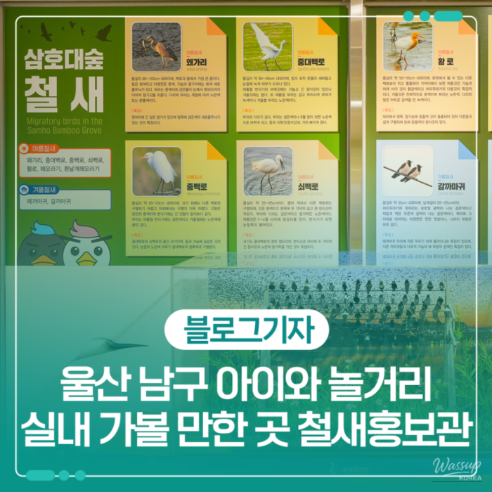 Ulsan Migratory Bird Promotion Center: A Fun and Educational Experience1362