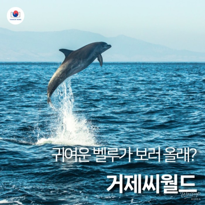 Discover the Wonders of Geoje Sea World2512