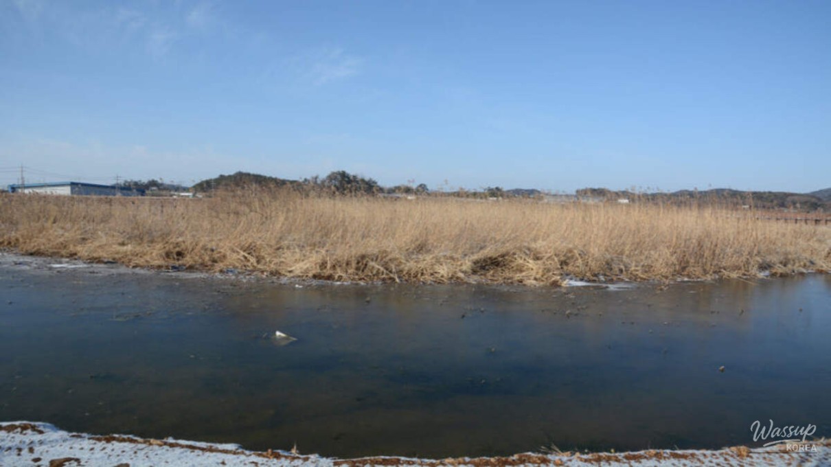 Exploring the Tranquility of Usupje Reservoir in Winter_03