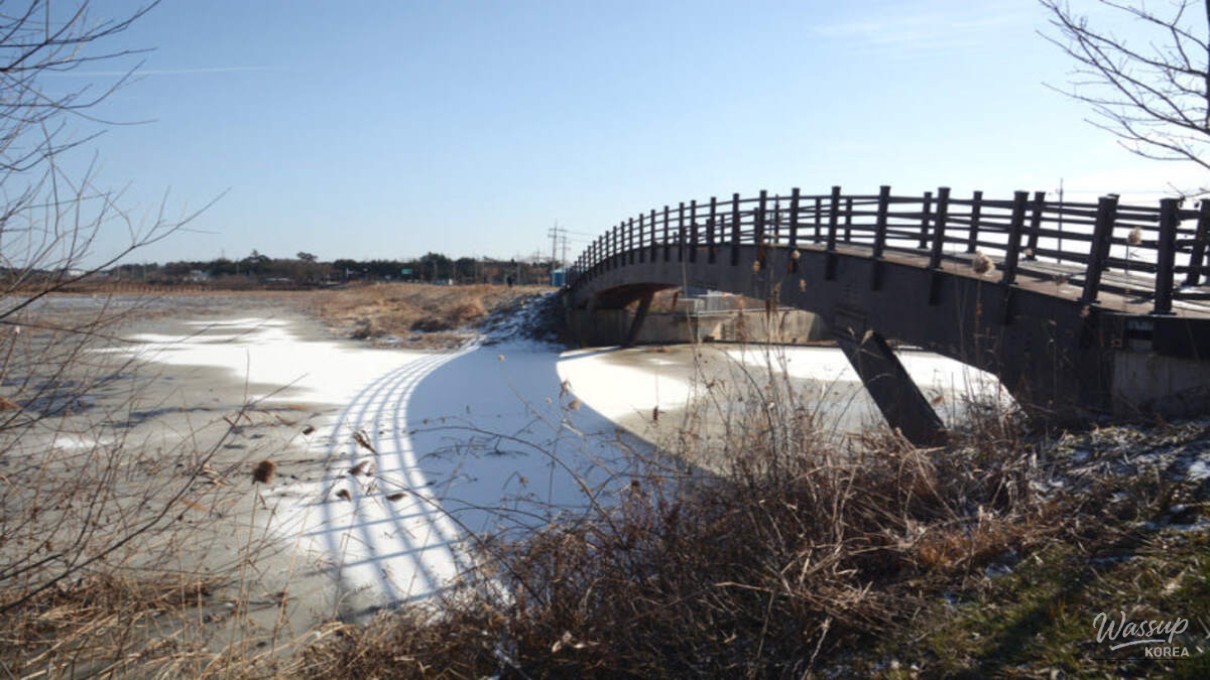 Exploring the Tranquility of Usupje Reservoir in Winter_02
