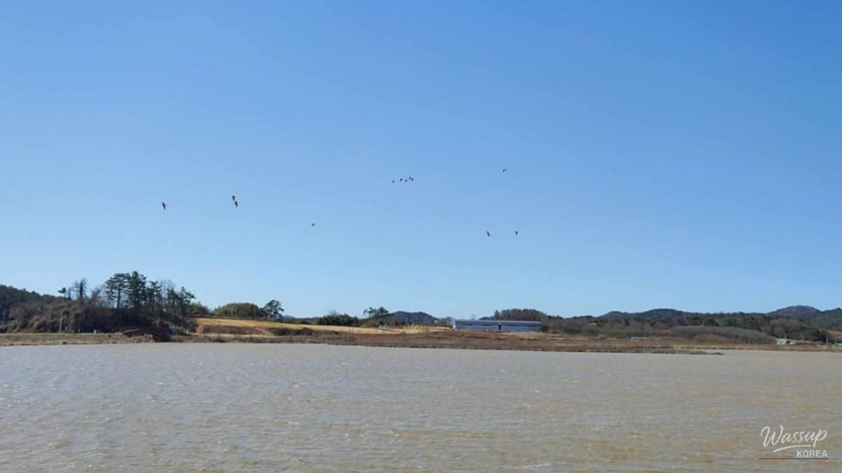 Exploring the Tranquility of Usupje Reservoir in Winter_01