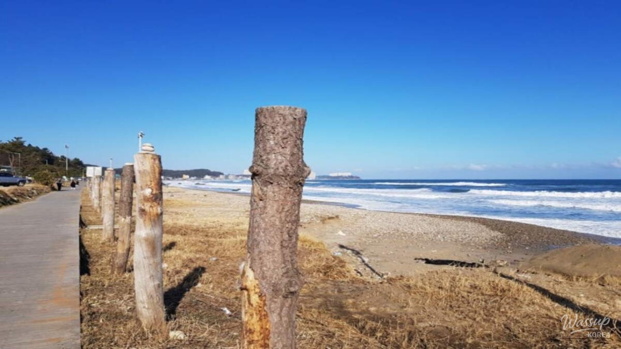 Exploring Jeongam Beach: A Winter Escape_05