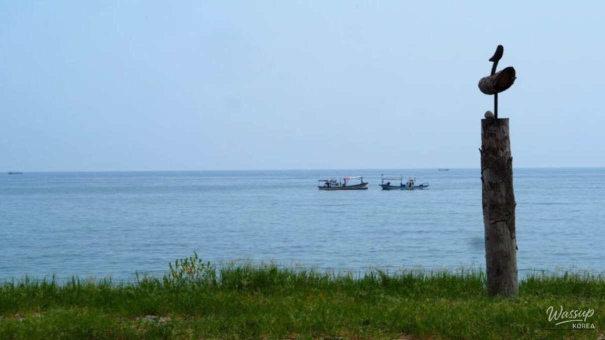 Exploring Jeongam Beach: A Winter Escape_04