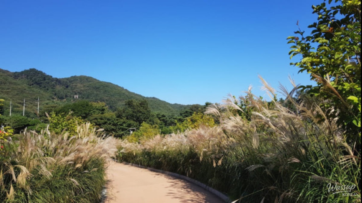 Healing Retreat at Yangpyeong Shija Park_01