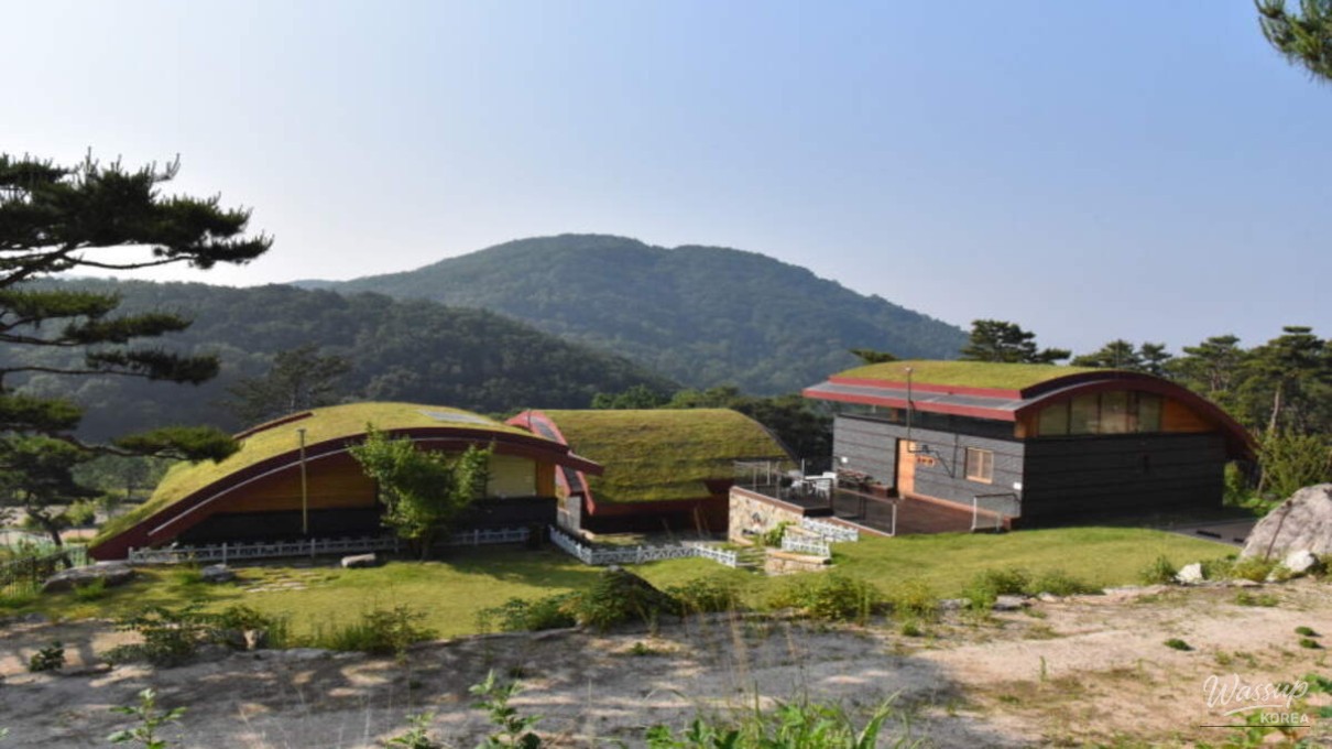 Healing Retreat at Yangpyeong Shija Park_05