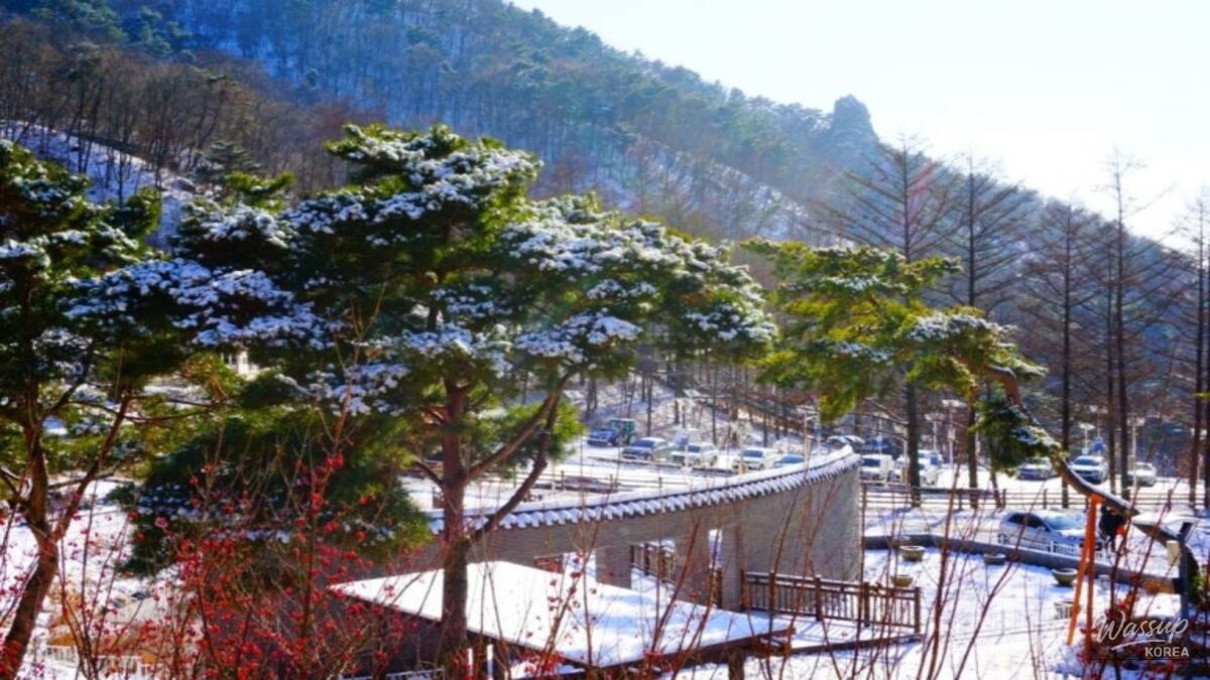 Healing Retreat at Yangpyeong Shija Park_02