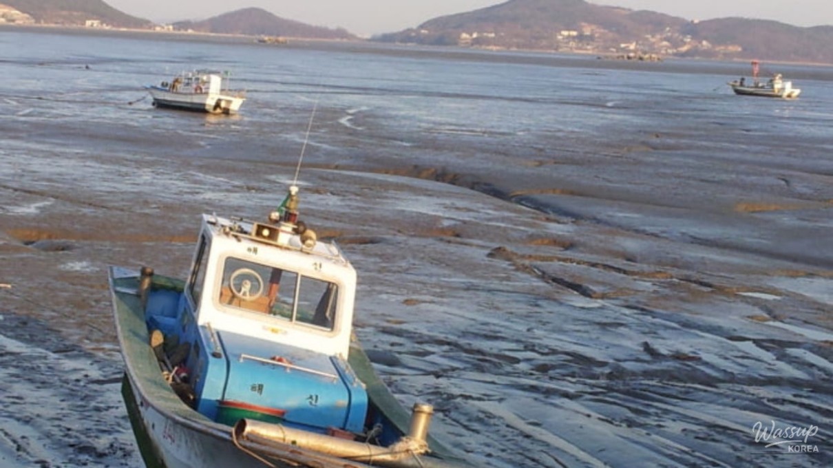 Discovering Anak Beach: A Tranquil Escape in February_01