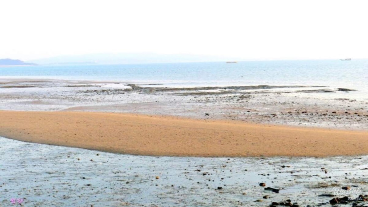 Discovering Anak Beach: A Tranquil Escape in February_04